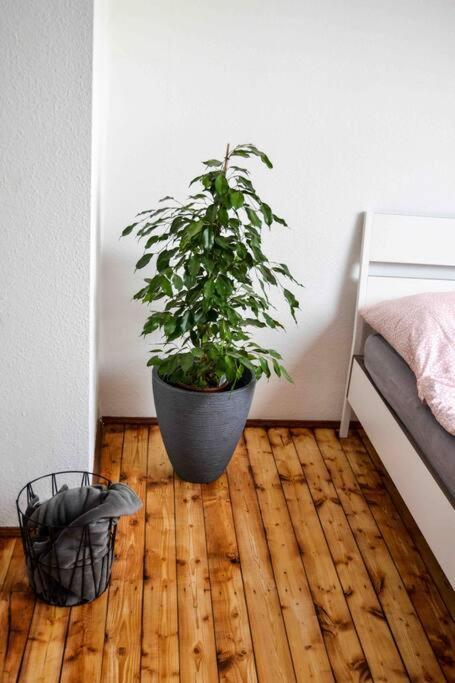 Schoene Dachgeschosswohnung Nahe Koeln 외부 사진
